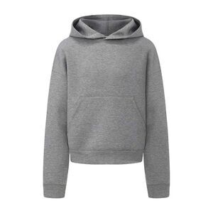 Firetrap Mens Sweatshirt / Gray
